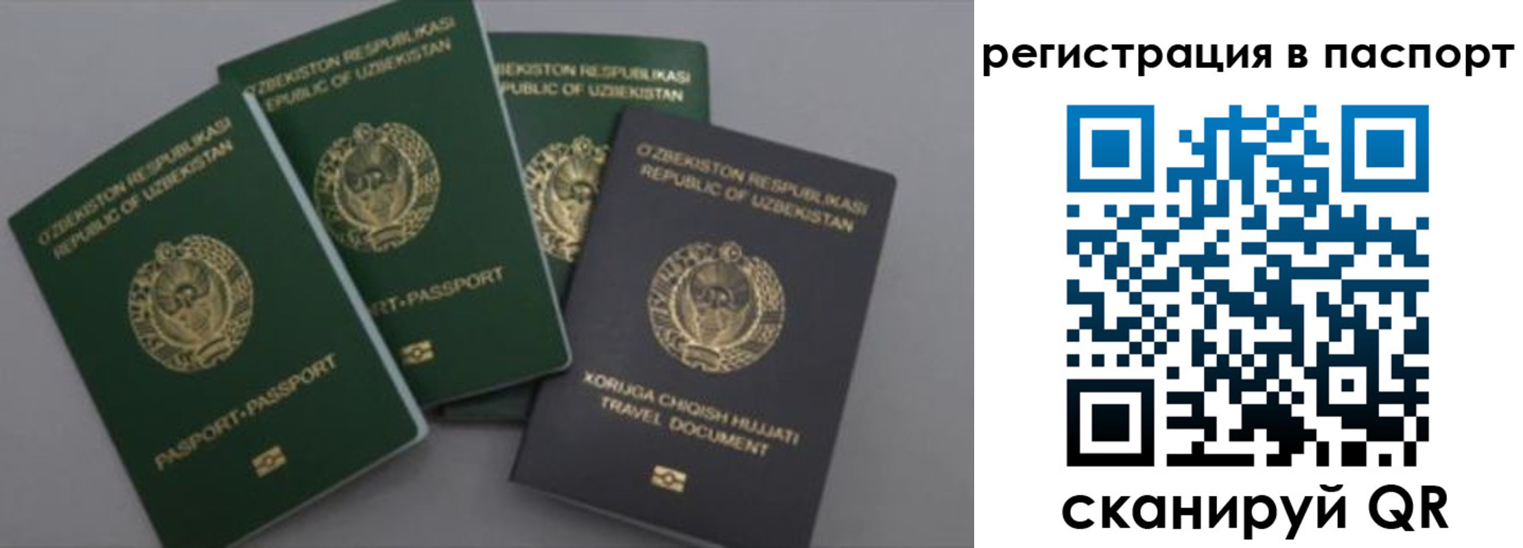прописка от собственника в Элисте